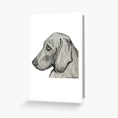 BRUTUS THE WEIMARANER - Sandra Burns ART - nature art, grey gray dog, classic weimaraner expression, chinagraph pencil, wax pencil, black paint highlights, mixed media on paper - original artwork reproduced on greeting card, blank inside